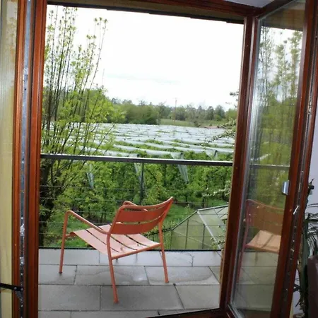 Constance Garden Comfortable Nyaraló Tettnang